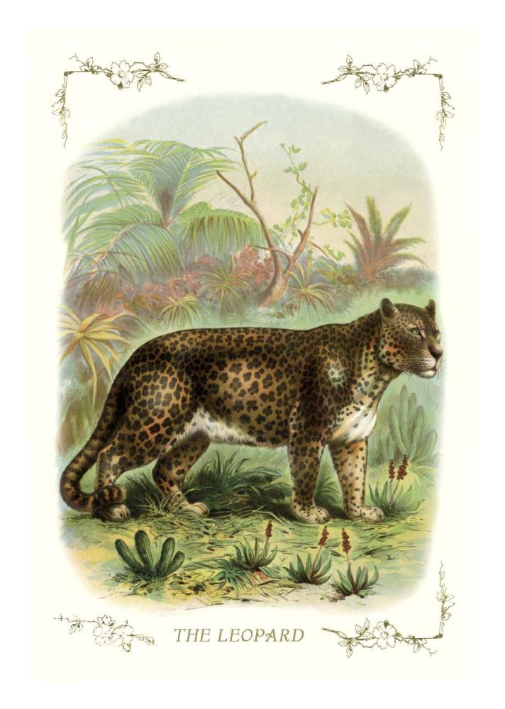 The Leopard, 1900-Paper Art-18"x26"