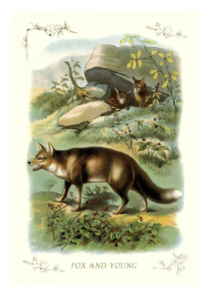 Fox and Young, 1900-Paper Art-18"x26"