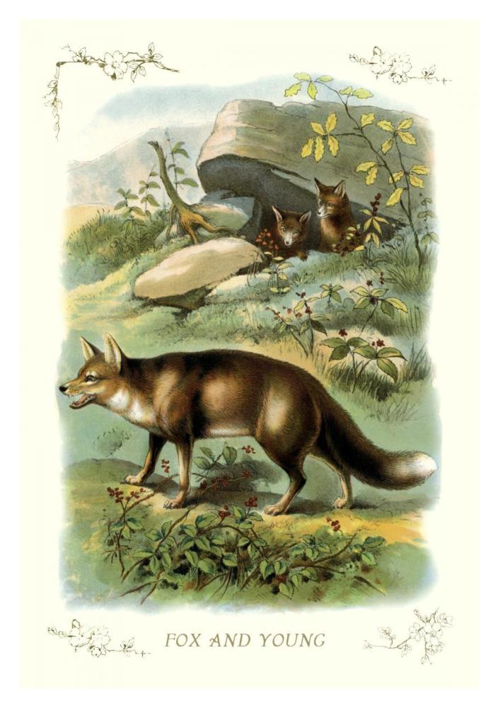 Fox and Young, 1900-Paper Art-26"x38"
