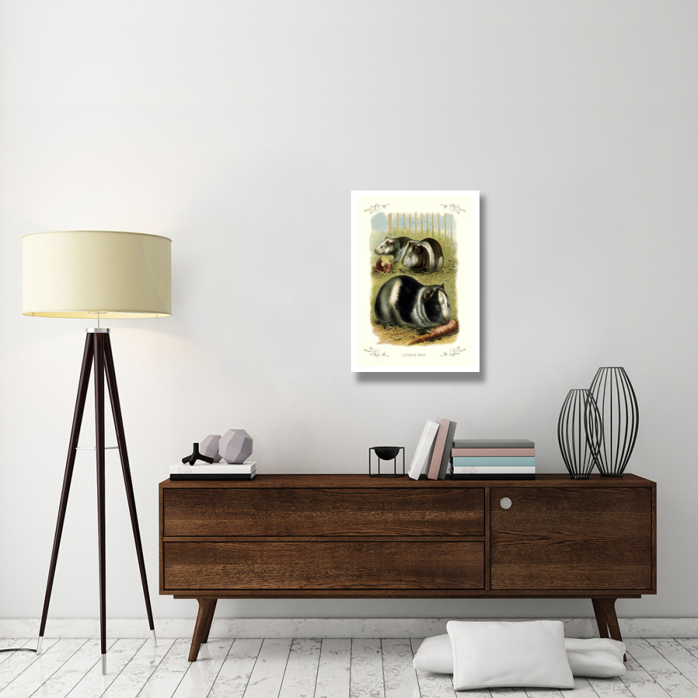 Guinea Pigs, 1900-Paper Art-22&quotx32"