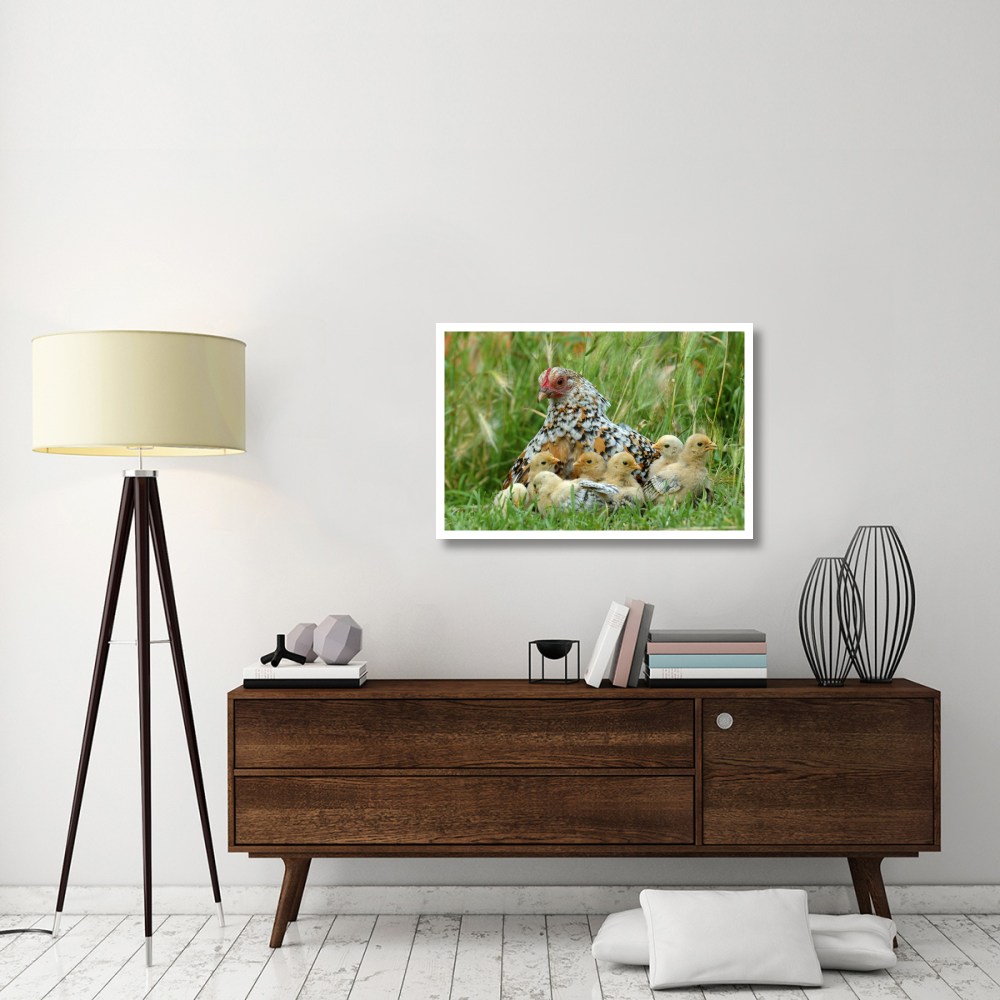 Fowl with chicks-Paper Art-38&quotx26"