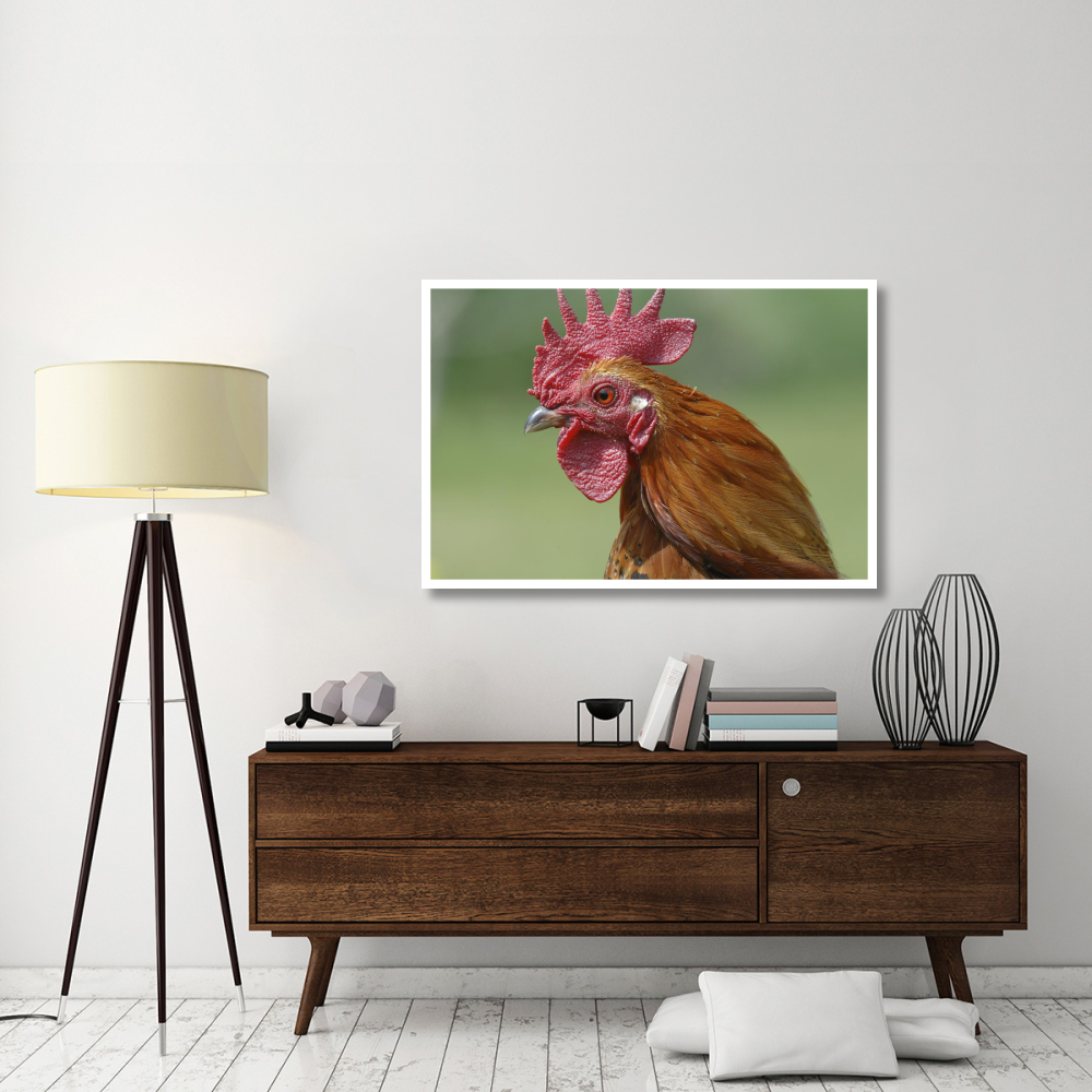 Portrait of a cockerel-Paper Art-50&quotx34"
