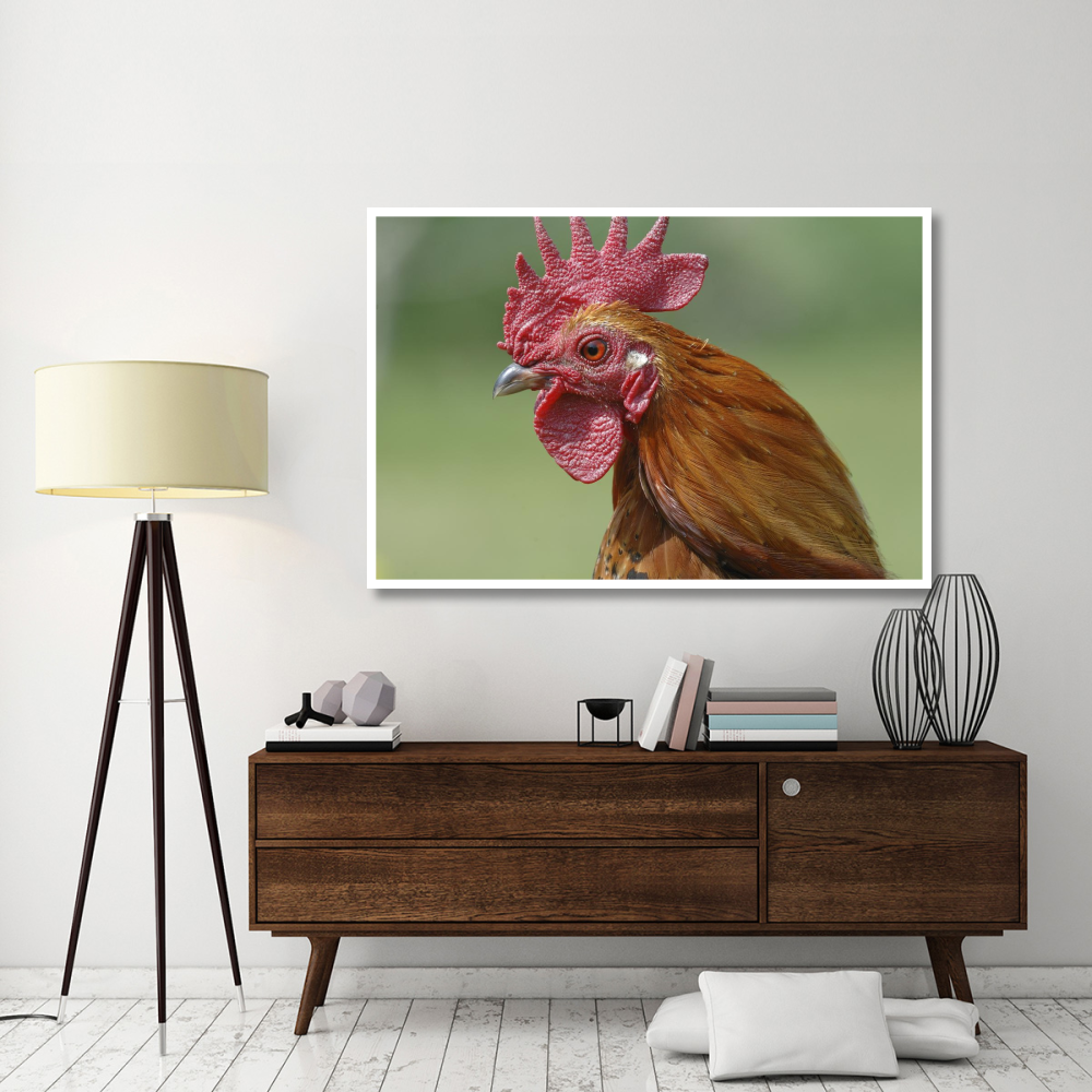 Portrait of a cockerel-Paper Art-62&quotx42"