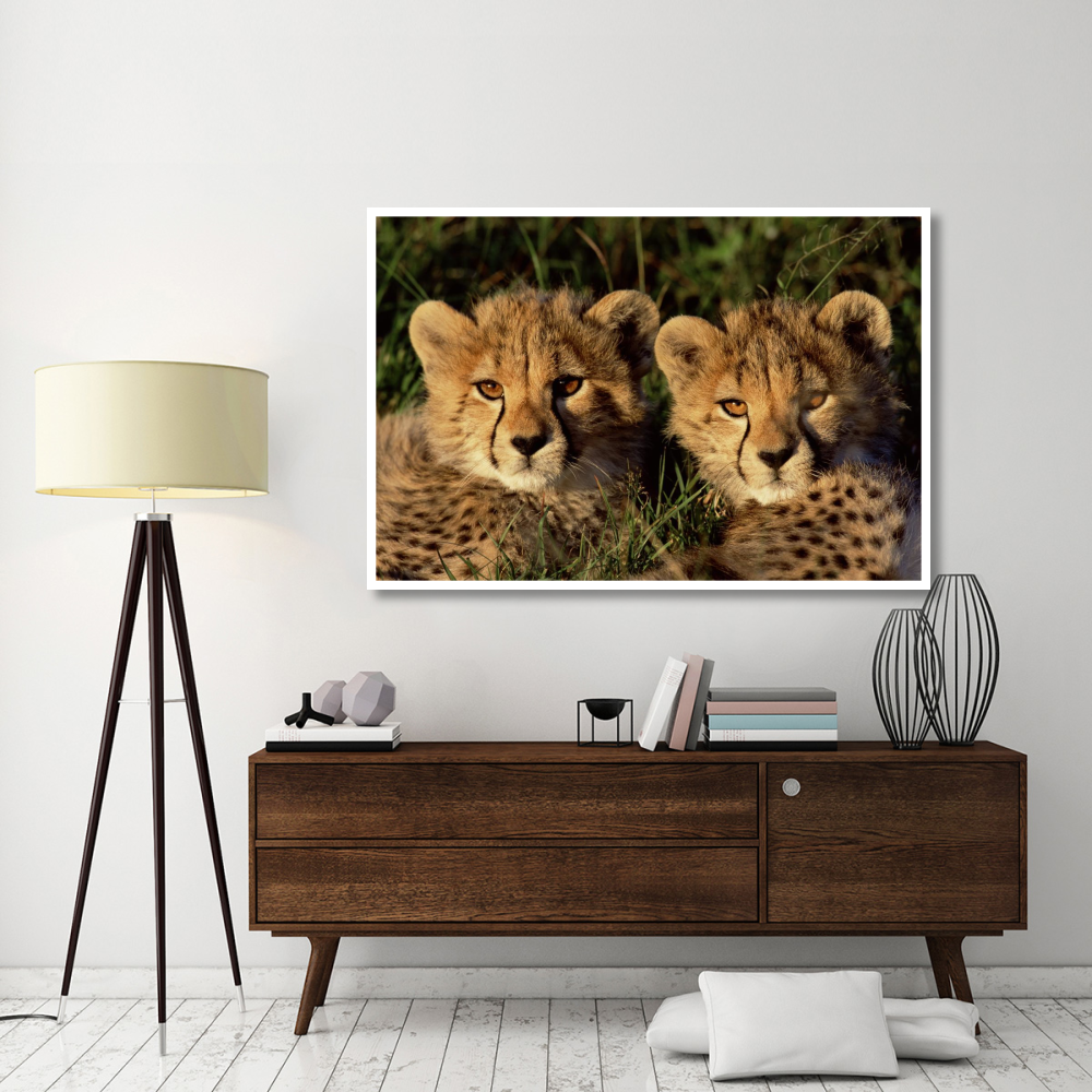 Cheetah two cubs, Masai Mara, Kenya-Paper Art-62&quotx42"