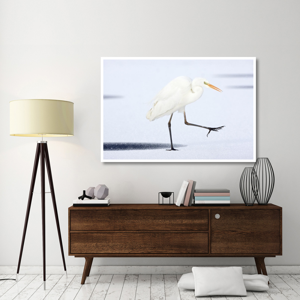 Great White Egret walking across the ice, Netherlands-Paper Art-62&quotx42"