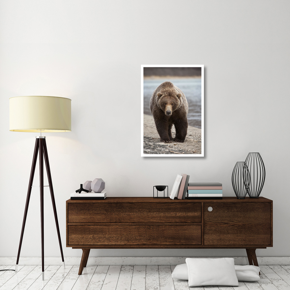 Grizzly Bear, Katmai National Park, Alaska-Paper Art-26&quotx38"