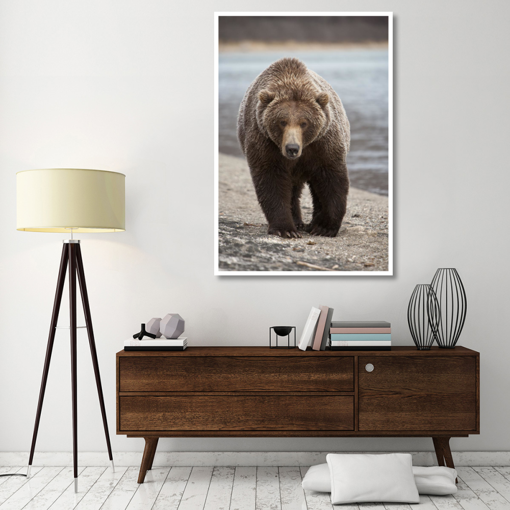 Grizzly Bear, Katmai National Park, Alaska-Paper Art-42&quotx62"