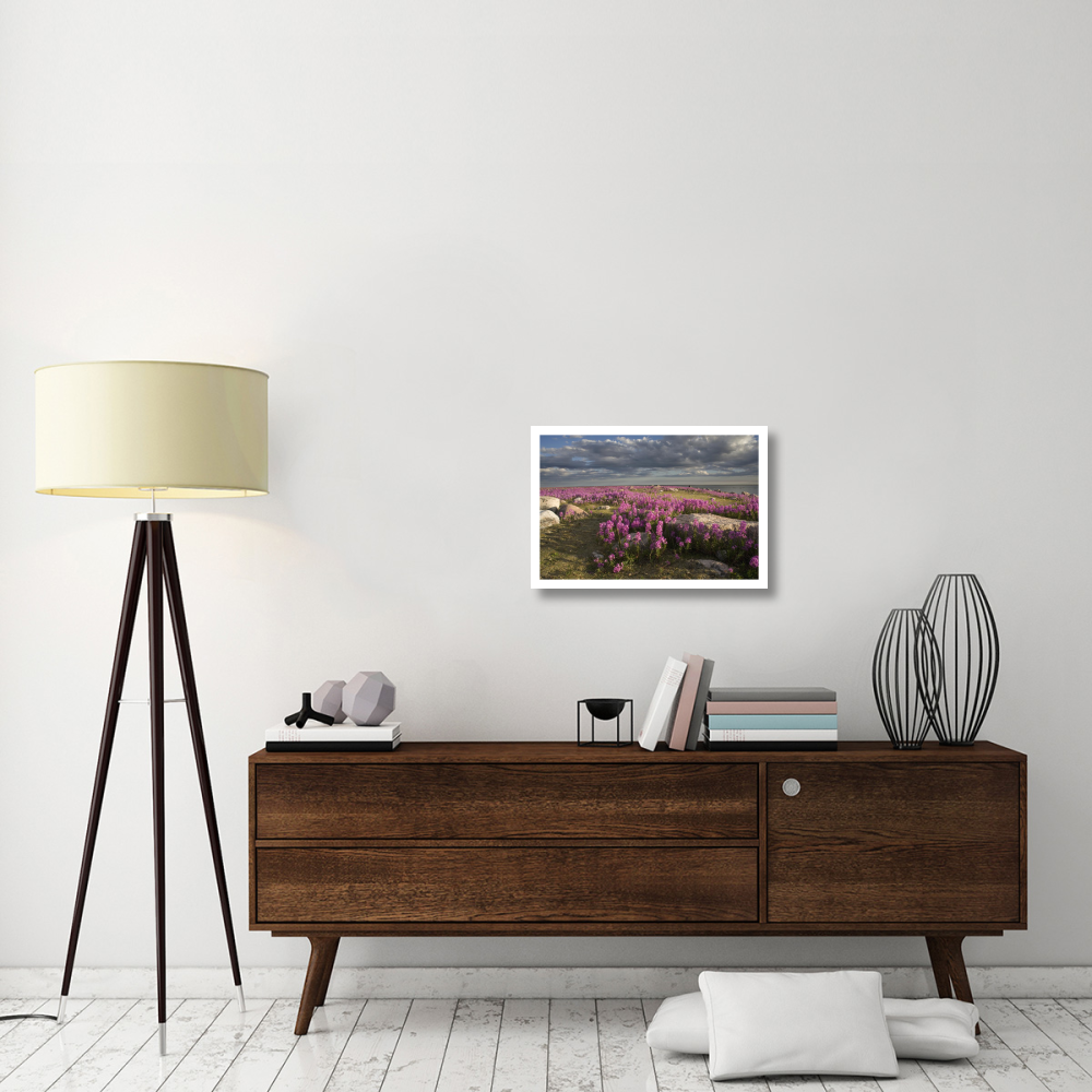 Fireweed covered island, Hudson Bay, Canada-Paper Art-26&quotx18"