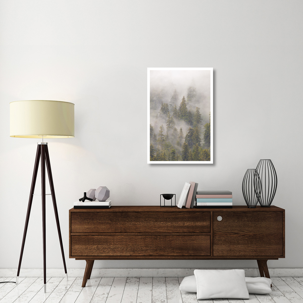 Mist in Tongass National Forest, Juneau, Alaska-Paper Art-26&quotx38"
