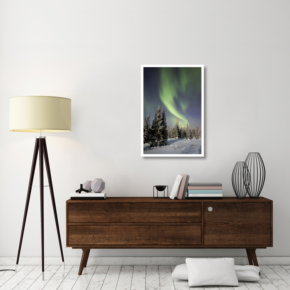 Northern lights over boreal forest, North America-Paper Art-26&quotx38"