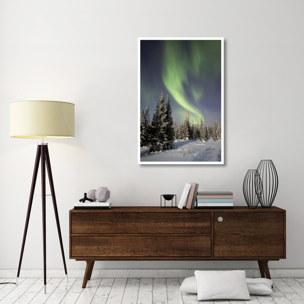 Northern lights over boreal forest, North America-Paper Art-34&quotx50"