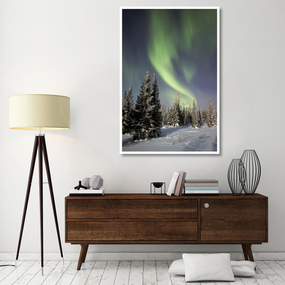 Northern lights over boreal forest, North America-Paper Art-42&quotx62"