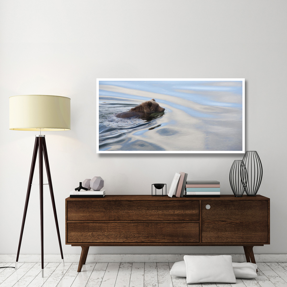 Grizzly Bear swimming, Katmai National Park, Alaska-Paper Art-62&quotx32"