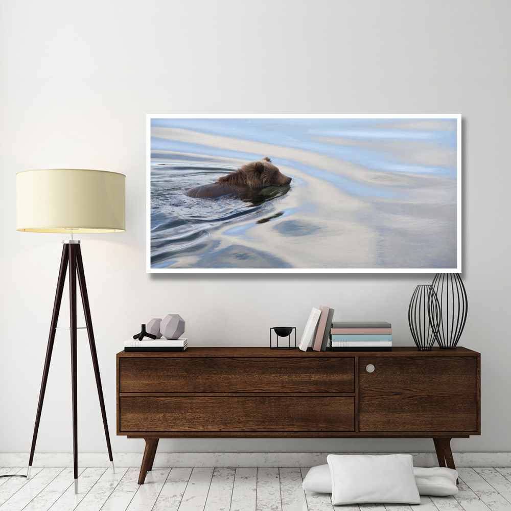 Grizzly Bear swimming, Katmai National Park, Alaska-Paper Art-74&quotx38"