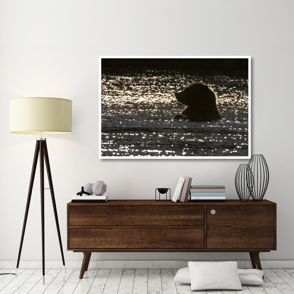 Grizzly Bear in water, Katmai National Park, Alaska-Paper Art-62&quotx42"