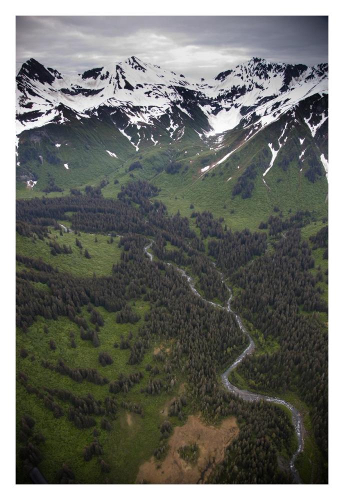 Mount Hendrickson, Tongass National Forest, Yakutat, Alaska-Paper Art-22"x32"