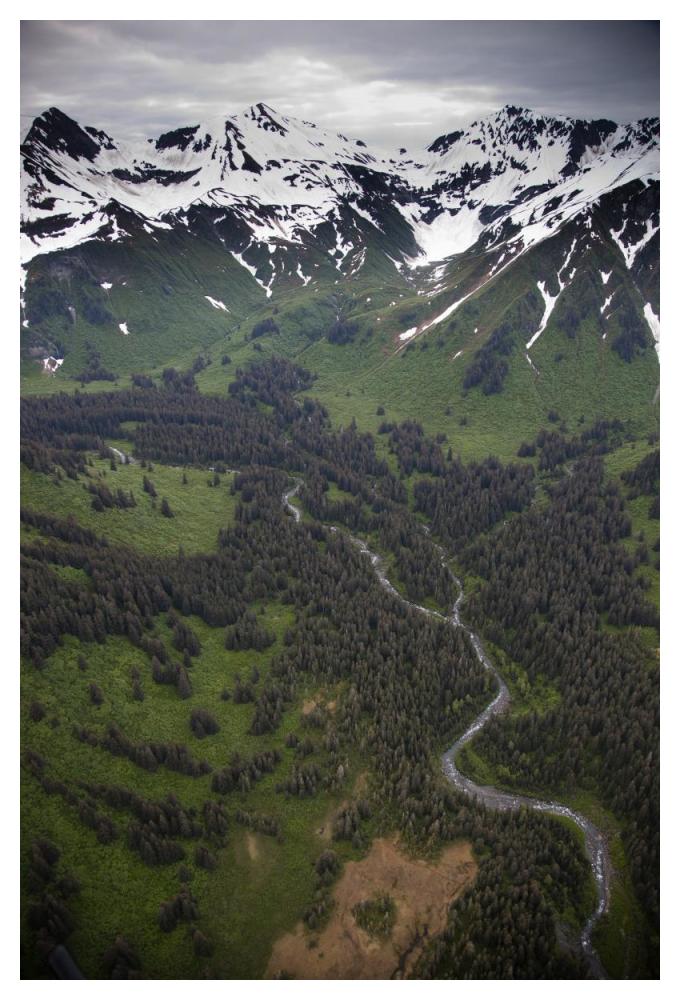 Mount Hendrickson, Tongass National Forest, Yakutat, Alaska-Paper Art-34"x50"