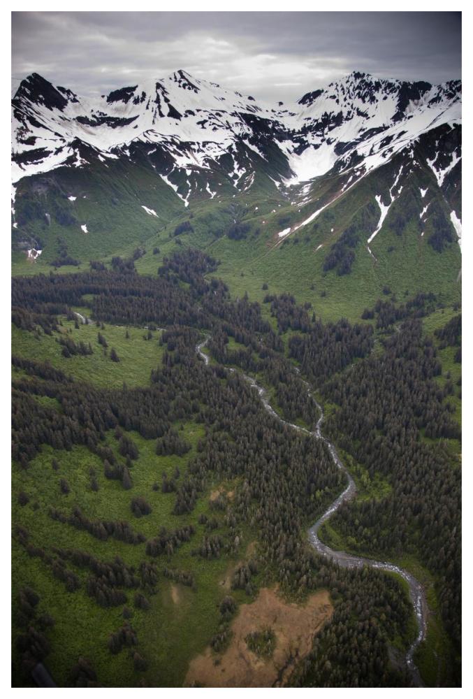 Mount Hendrickson, Tongass National Forest, Yakutat, Alaska-Paper Art-42"x62"