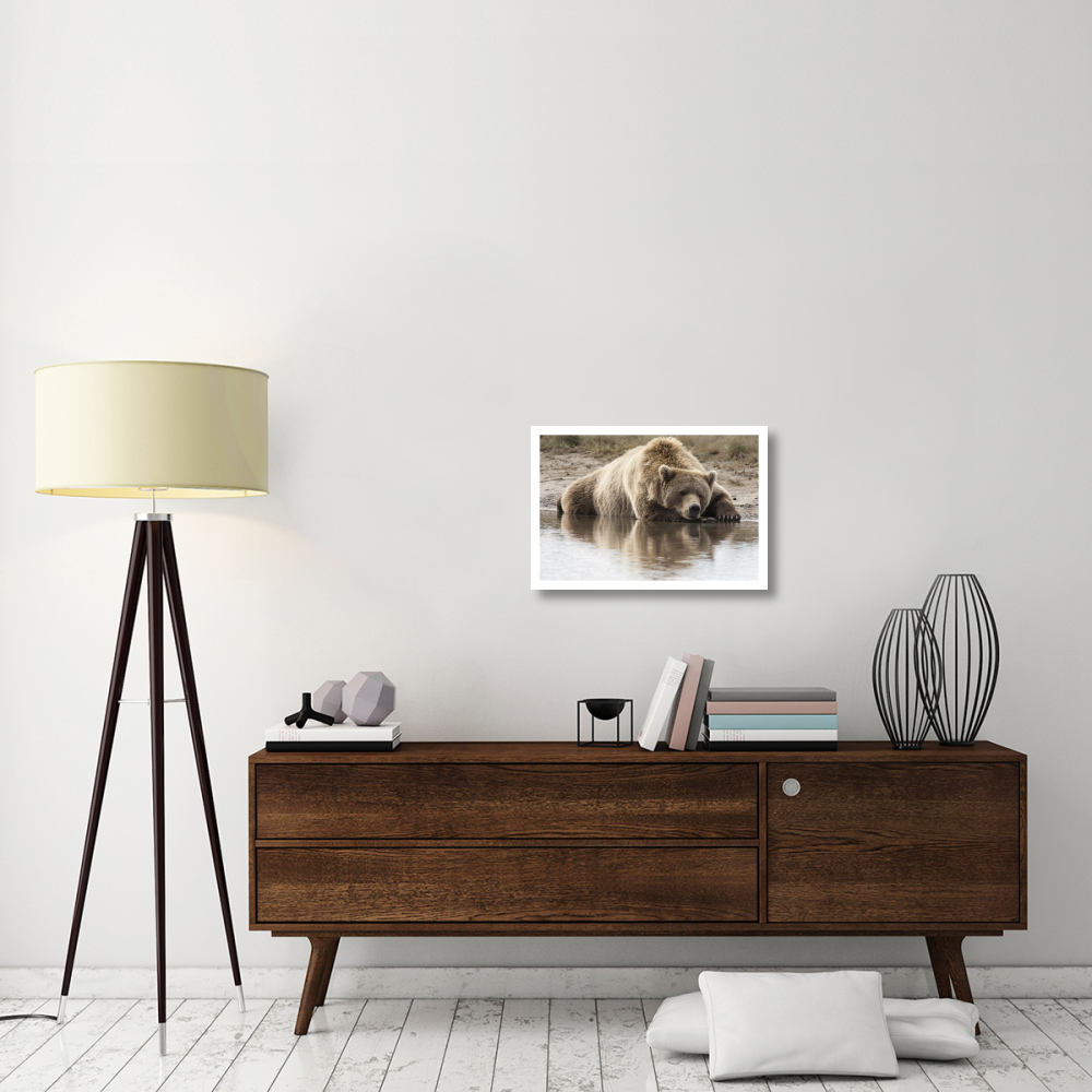 Grizzly Bear sleeping on shore, Katmai National Park, Alaska-Paper Art-26&quotx18"