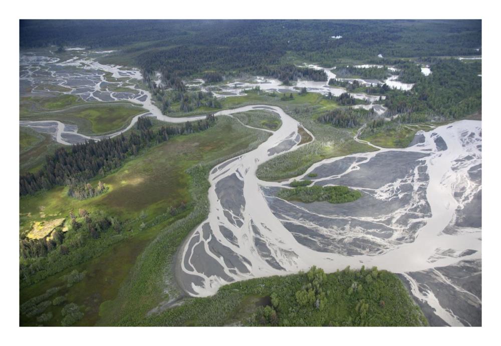 Kwik Stream in taiga, Wrangell-St. Elias National Park, Alaska-Paper Art-26"x18"