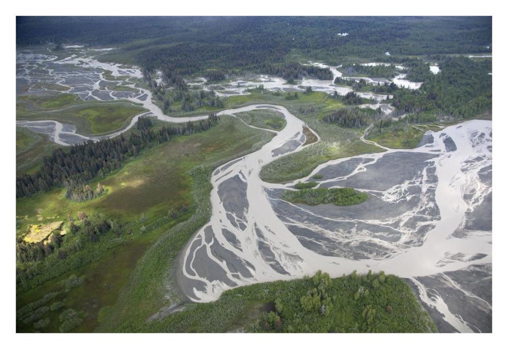 Kwik Stream in taiga, Wrangell-St. Elias National Park, Alaska-Paper Art-32"x22"