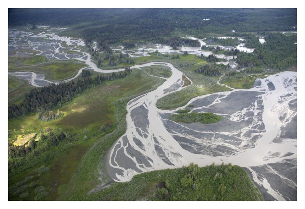 Kwik Stream in taiga, Wrangell-St. Elias National Park, Alaska-Paper Art-38"x26"