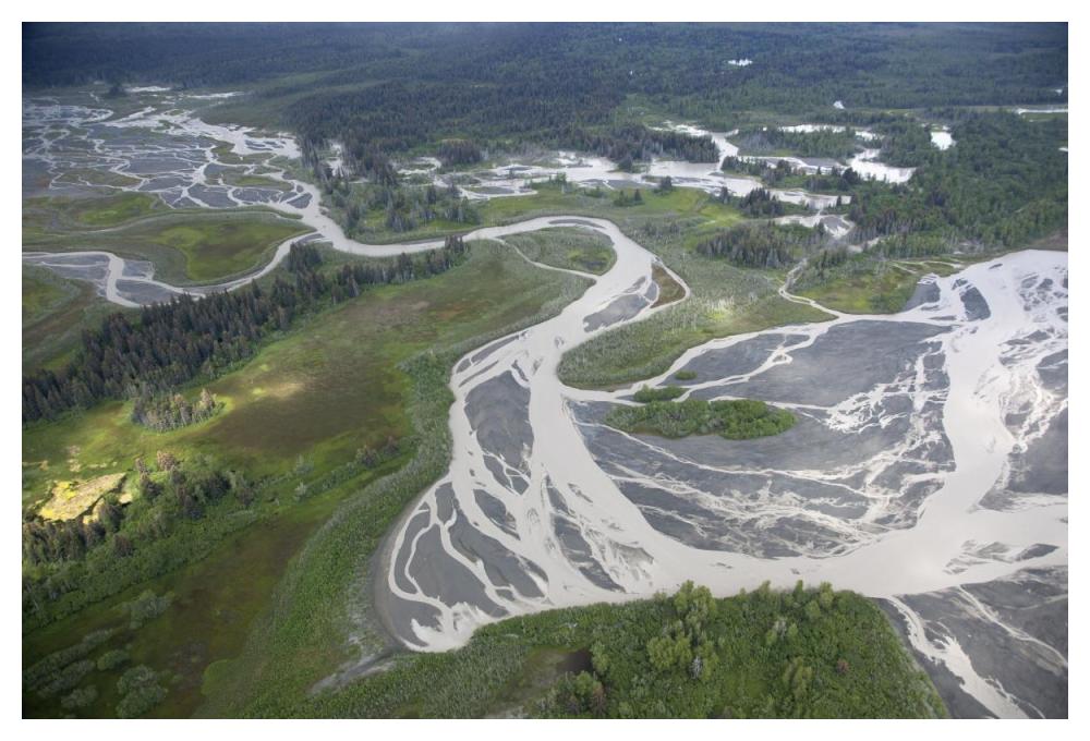 Kwik Stream in taiga, Wrangell-St. Elias National Park, Alaska-Paper Art-50"x34"