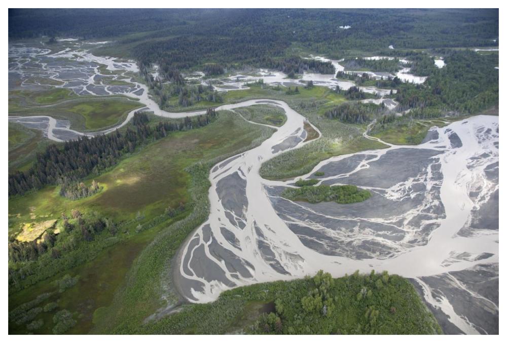 Kwik Stream in taiga, Wrangell-St. Elias National Park, Alaska-Paper Art-62"x42"