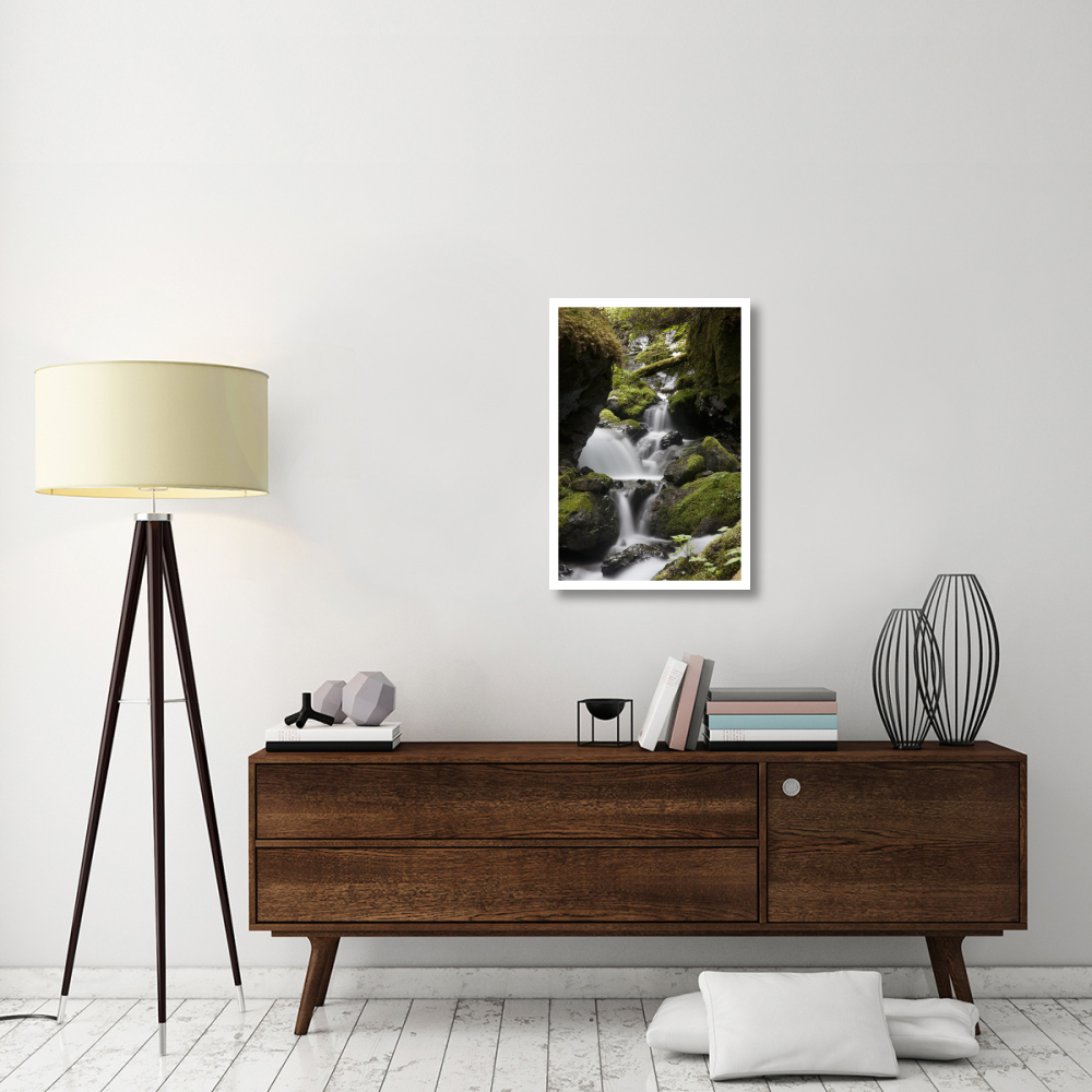 Cascading creek in temperate rainforest interior, Sitka, Alaska-Paper Art-22&quotx32"