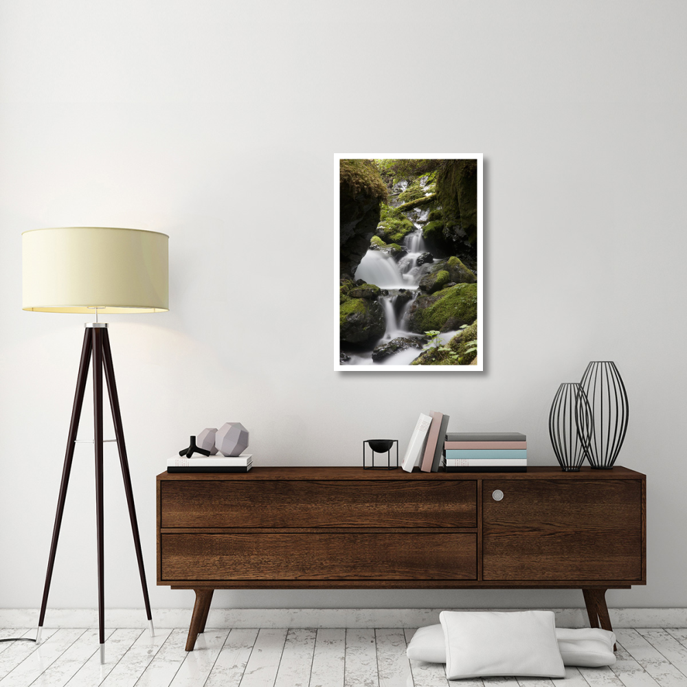 Cascading creek in temperate rainforest interior, Sitka, Alaska-Paper Art-26&quotx38"