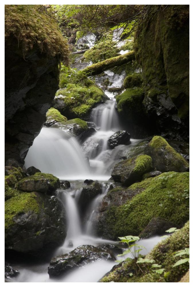 Cascading creek in temperate rainforest interior, Sitka, Alaska-Paper Art-42"x62"