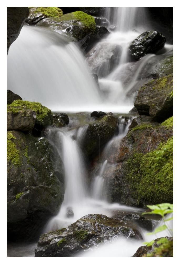 Cascading creek in temperate rainforest interior, Sitka, Alaska-Paper Art-14"x20"