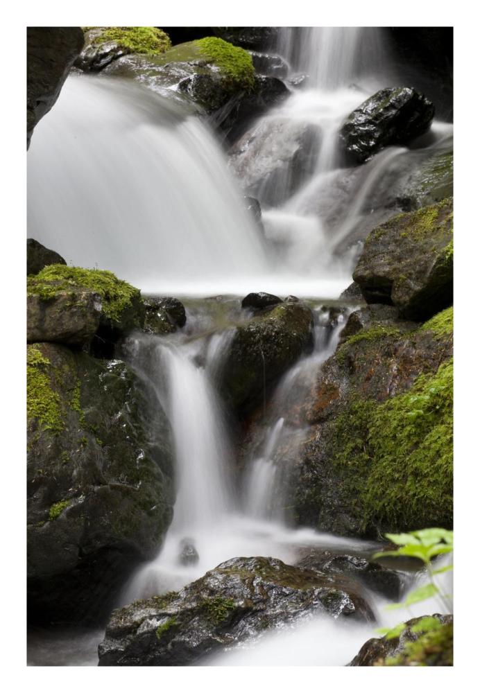 Cascading creek in temperate rainforest interior, Sitka, Alaska-Paper Art-18"x26"