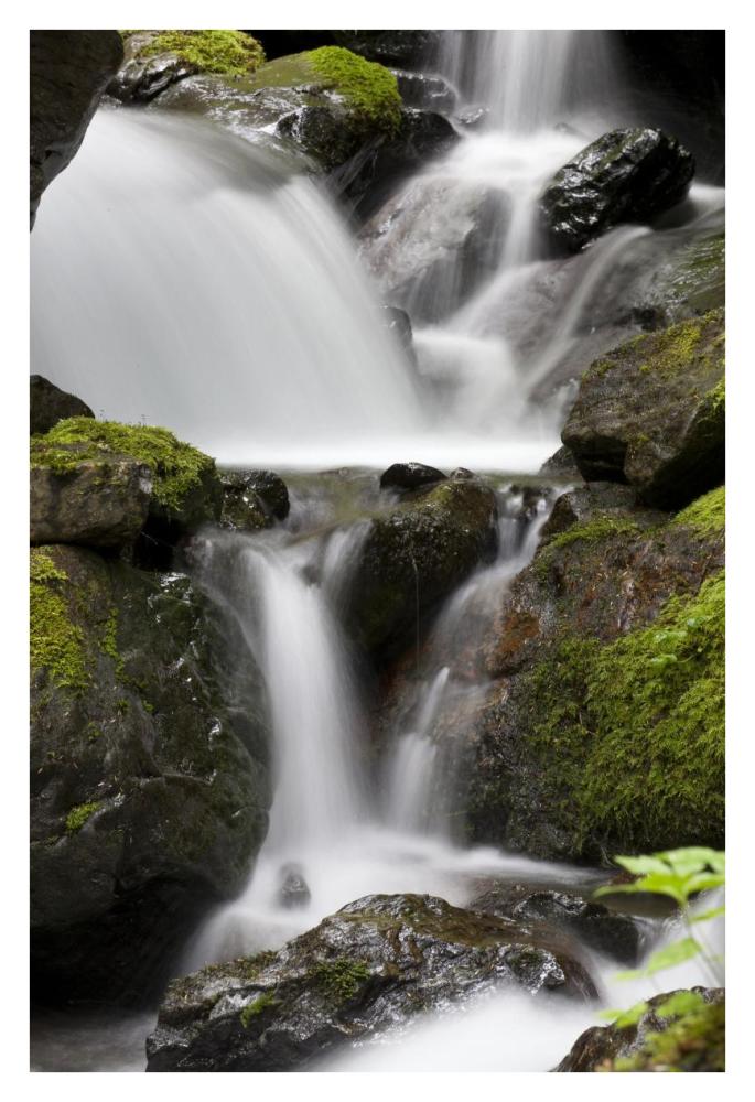Cascading creek in temperate rainforest interior, Sitka, Alaska-Paper Art-26"x38"