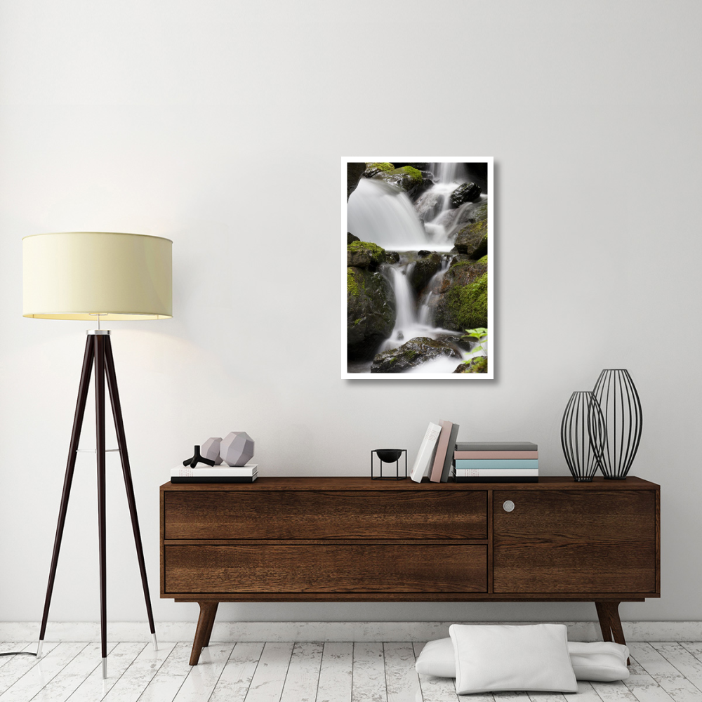 Cascading creek in temperate rainforest interior, Sitka, Alaska-Paper Art-26&quotx38"