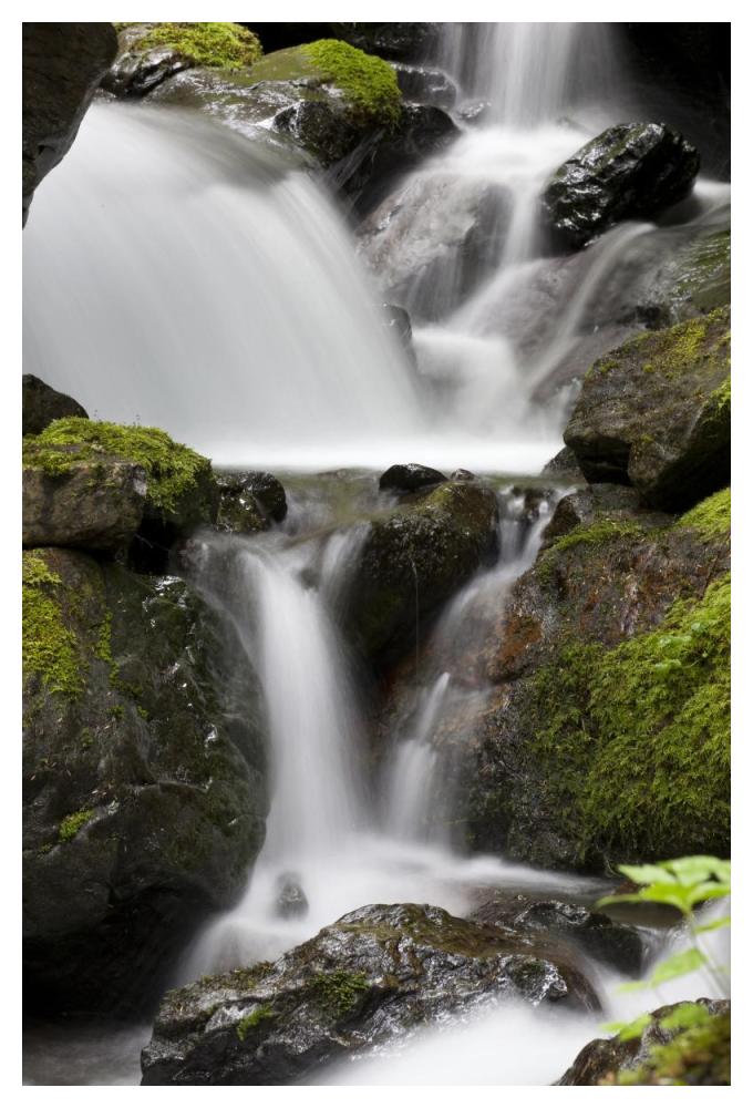 Cascading creek in temperate rainforest interior, Sitka, Alaska-Paper Art-34"x50"