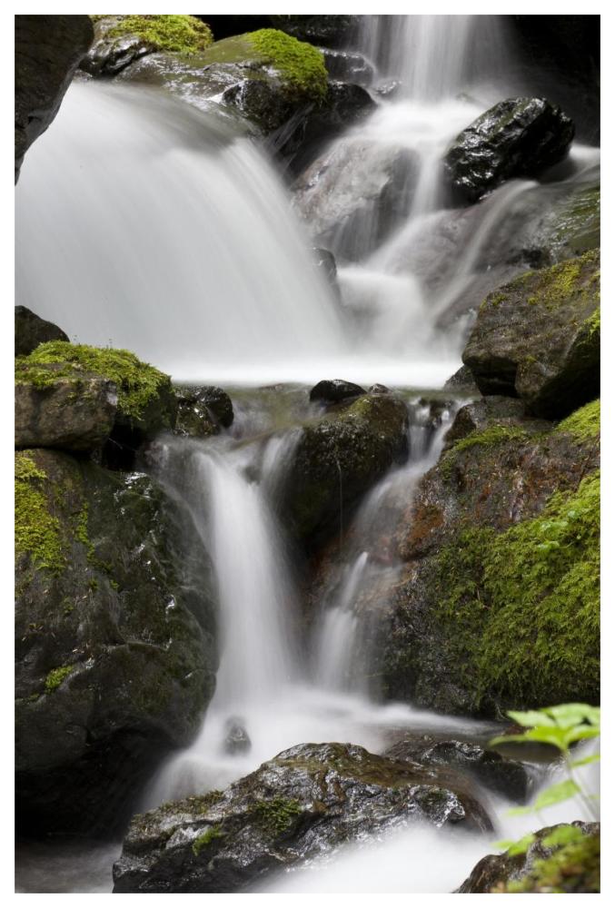 Cascading creek in temperate rainforest interior, Sitka, Alaska-Paper Art-42"x62"