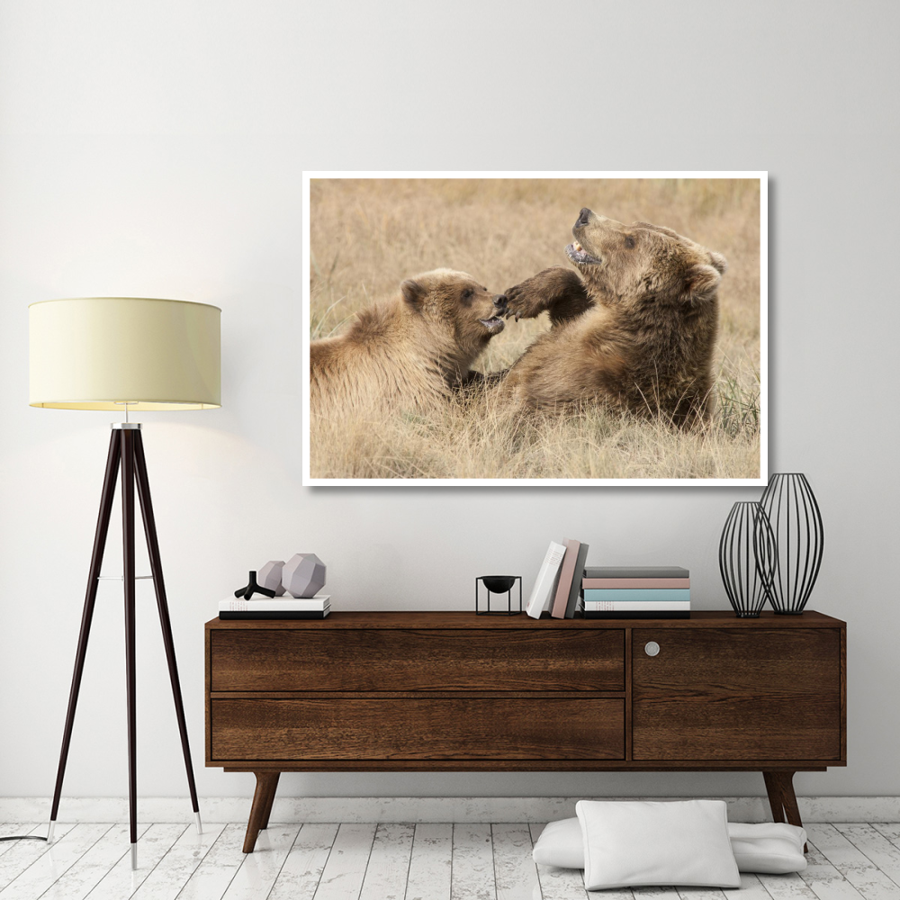 Grizzly Bear mother and cub playing, Katmai National Park, Alaska-Paper Art-62&quotx42"