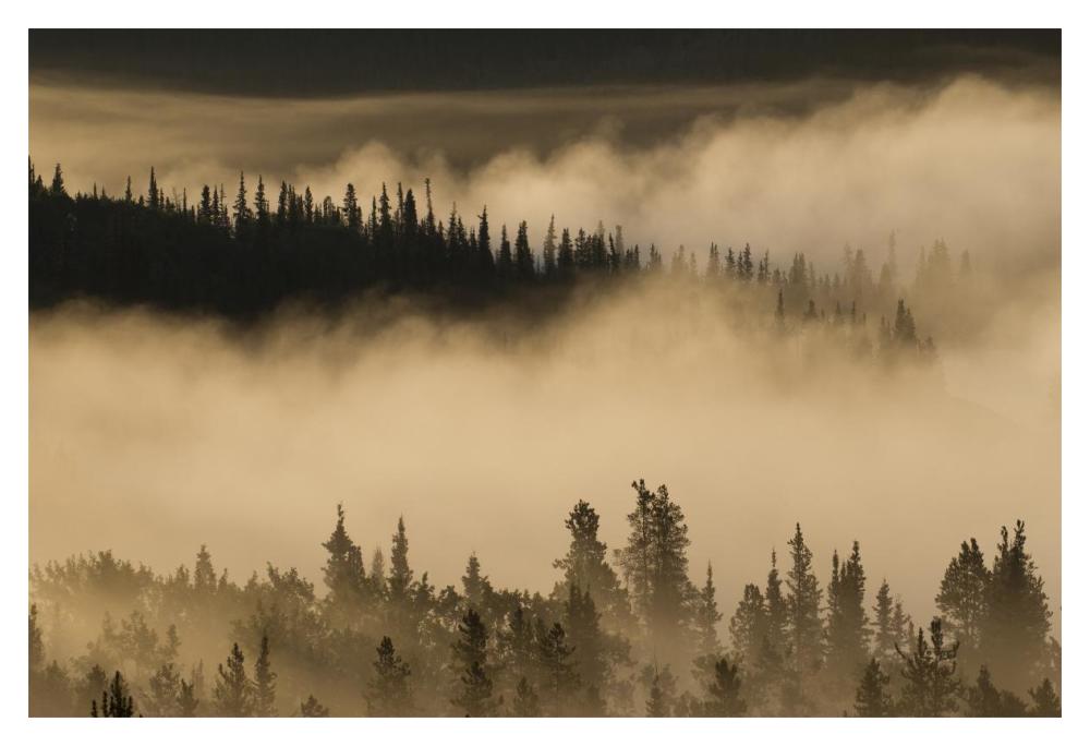 Morning fog near Swan Lake along the Alaska Highway, Yukon, Canada-Paper Art-20"x14"