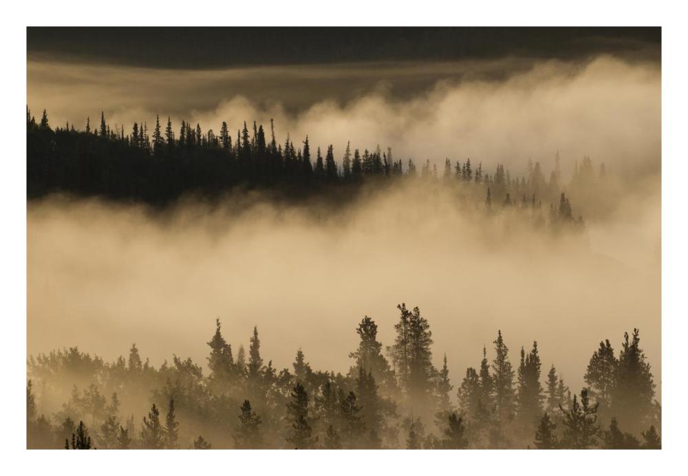Morning fog near Swan Lake along the Alaska Highway, Yukon, Canada-Paper Art-26"x18"
