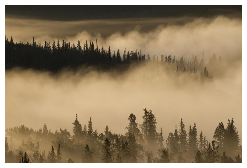 Morning fog near Swan Lake along the Alaska Highway, Yukon, Canada-Paper Art-50"x34"