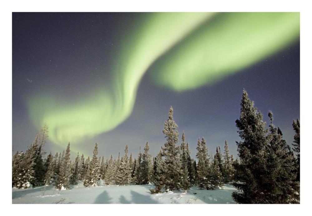 Northern lights or aurora borealis over boreal forest, North America-Paper Art-26"x18"