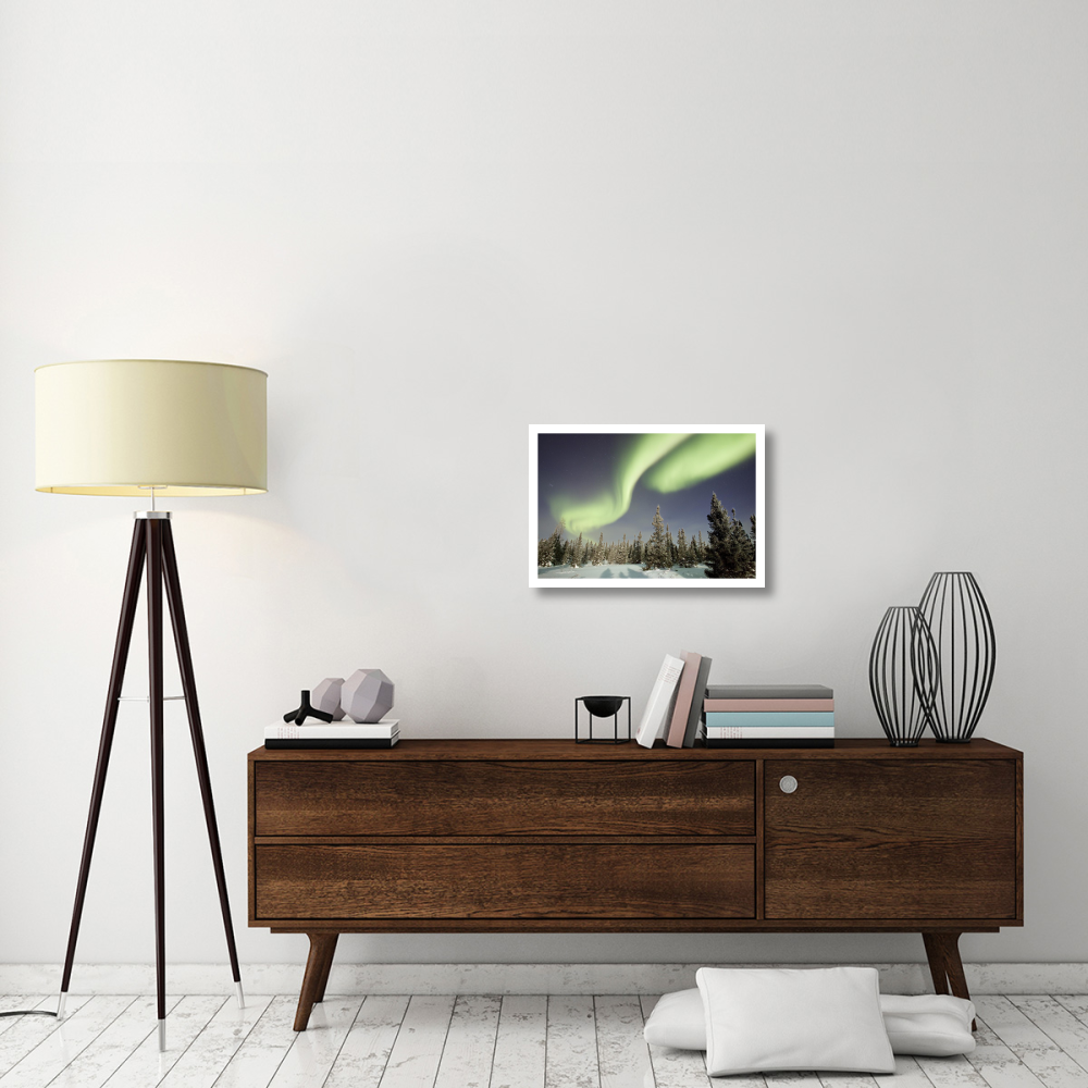 Northern lights or aurora borealis over boreal forest, North America-Paper Art-26&quotx18"