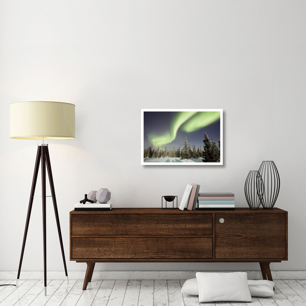 Northern lights or aurora borealis over boreal forest, North America-Paper Art-32&quotx22"
