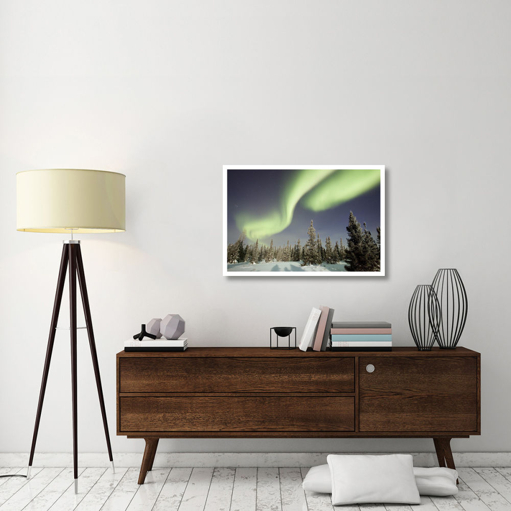 Northern lights or aurora borealis over boreal forest, North America-Paper Art-38&quotx26"