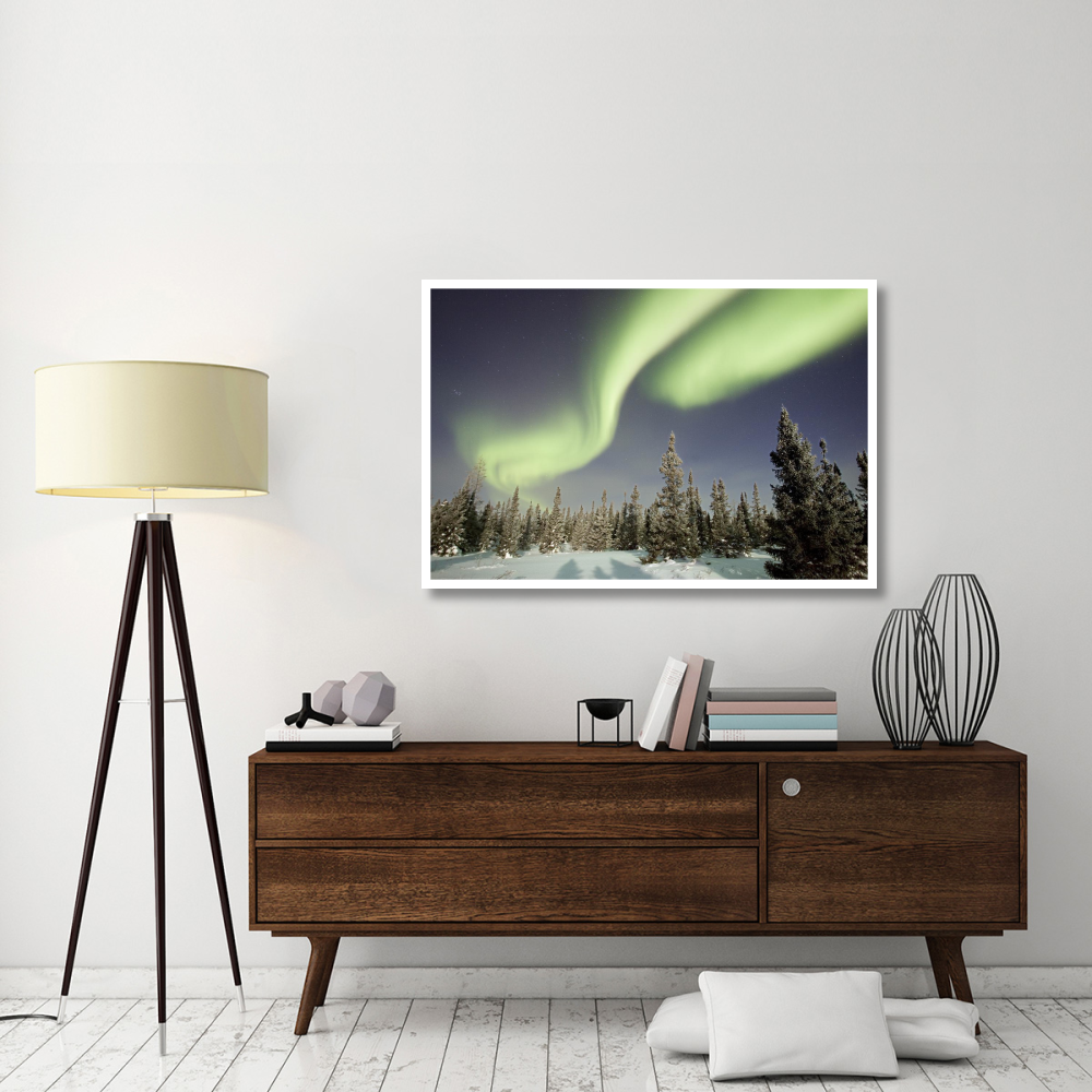 Northern lights or aurora borealis over boreal forest, North America-Paper Art-50&quotx34"