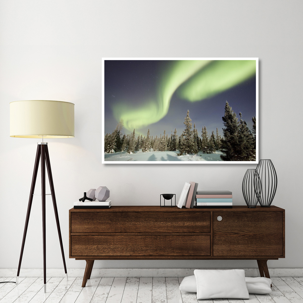 Northern lights or aurora borealis over boreal forest, North America-Paper Art-62&quotx42"