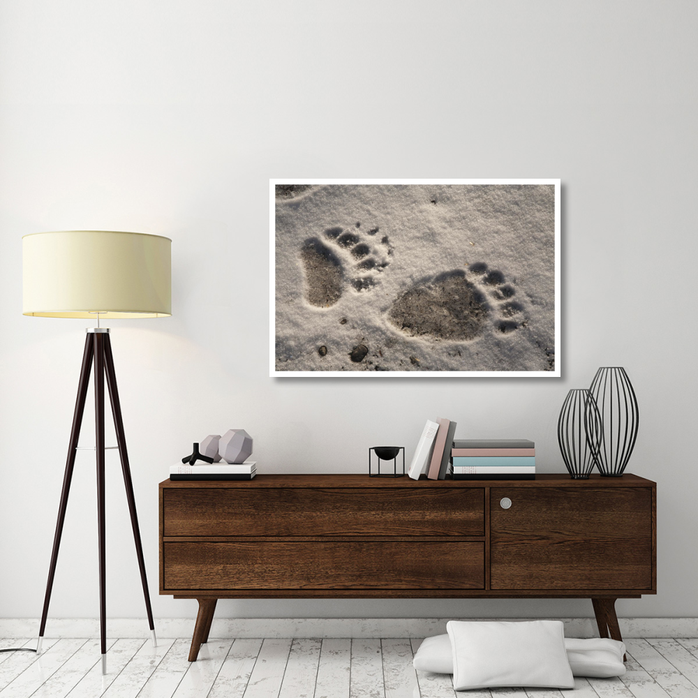 Grizzly Bear front and back paw prints, Katmai National Park, Alaska-Paper Art-50&quotx34"