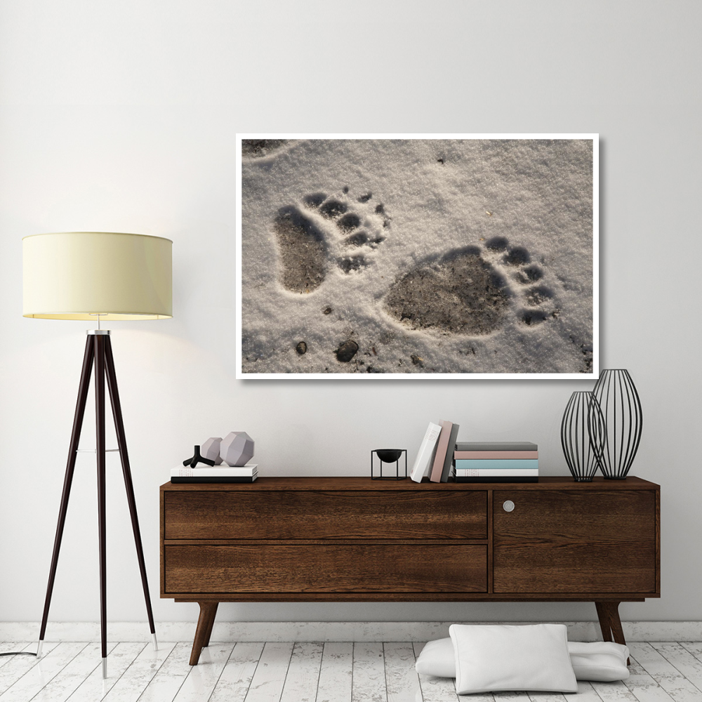 Grizzly Bear front and back paw prints, Katmai National Park, Alaska-Paper Art-62&quotx42"