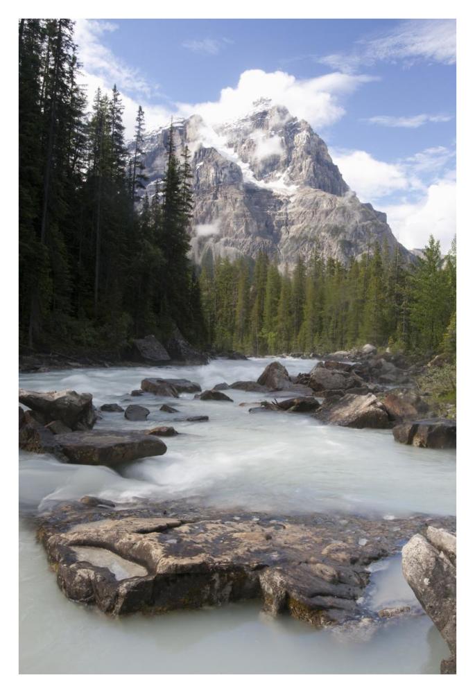Mount Stephen and Yoho River, Yoho National Park, British Columbia, Canada-Paper Art-26"x38"